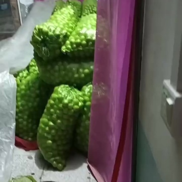 礼品二号
