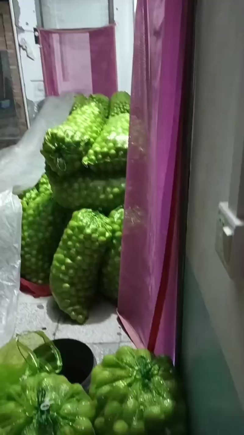 礼品二号