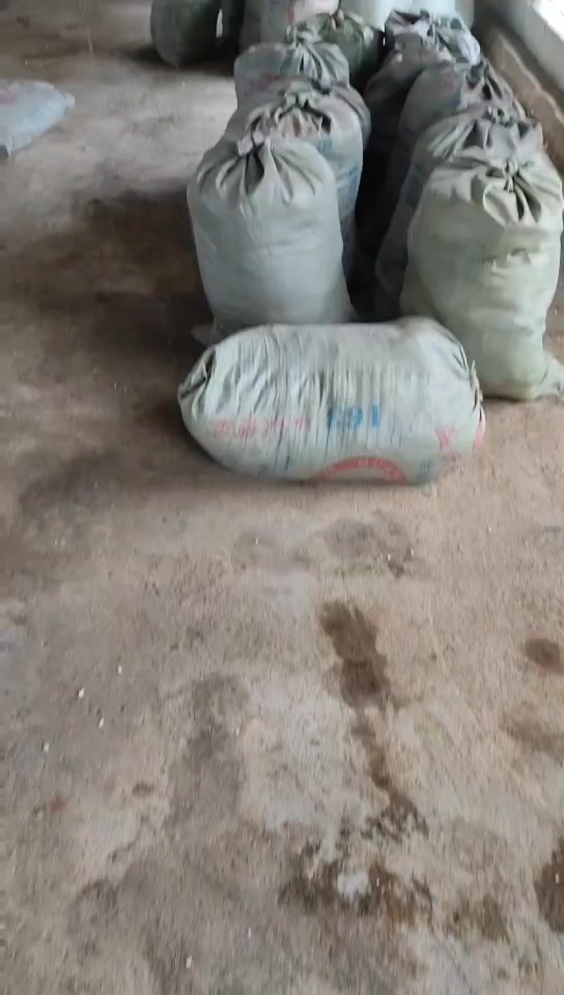 有机肥，鸡粪，果园菜地都可以下，肥田不伤苗