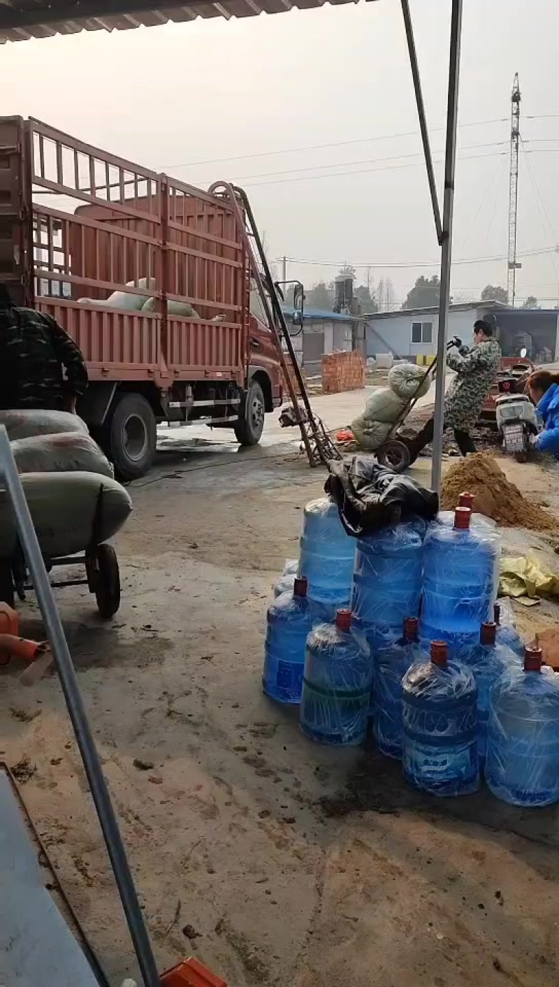 有机肥，鸡粪，果园菜地都可以下，肥田不伤苗