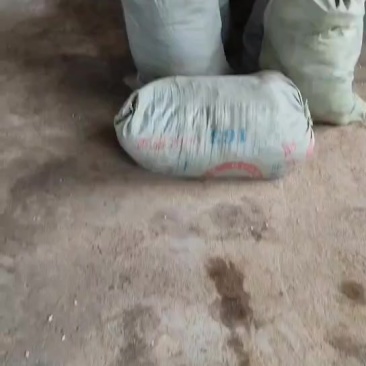 有机肥,鸡粪,果园菜地都可以下,肥田不伤苗
