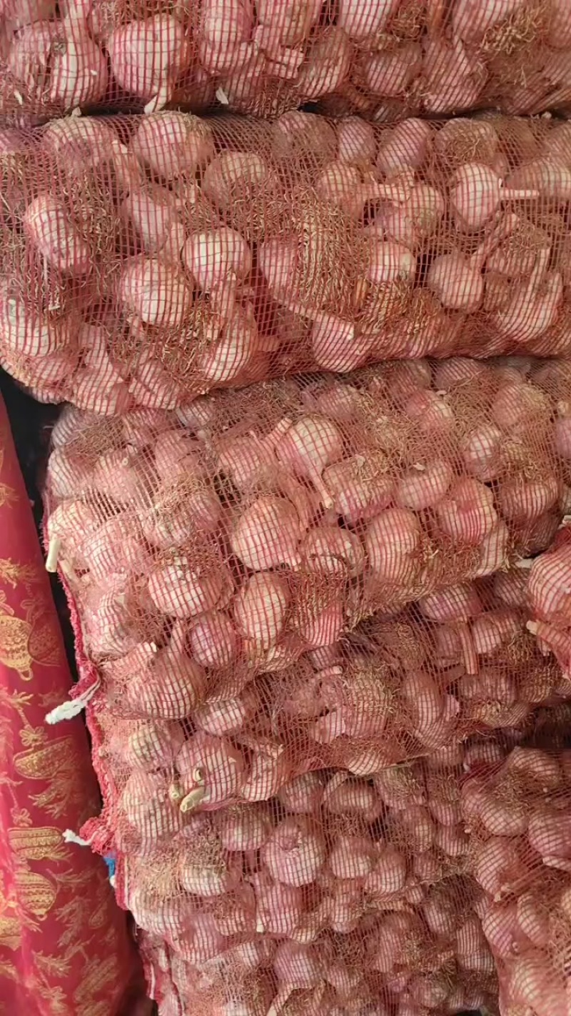 大蒜