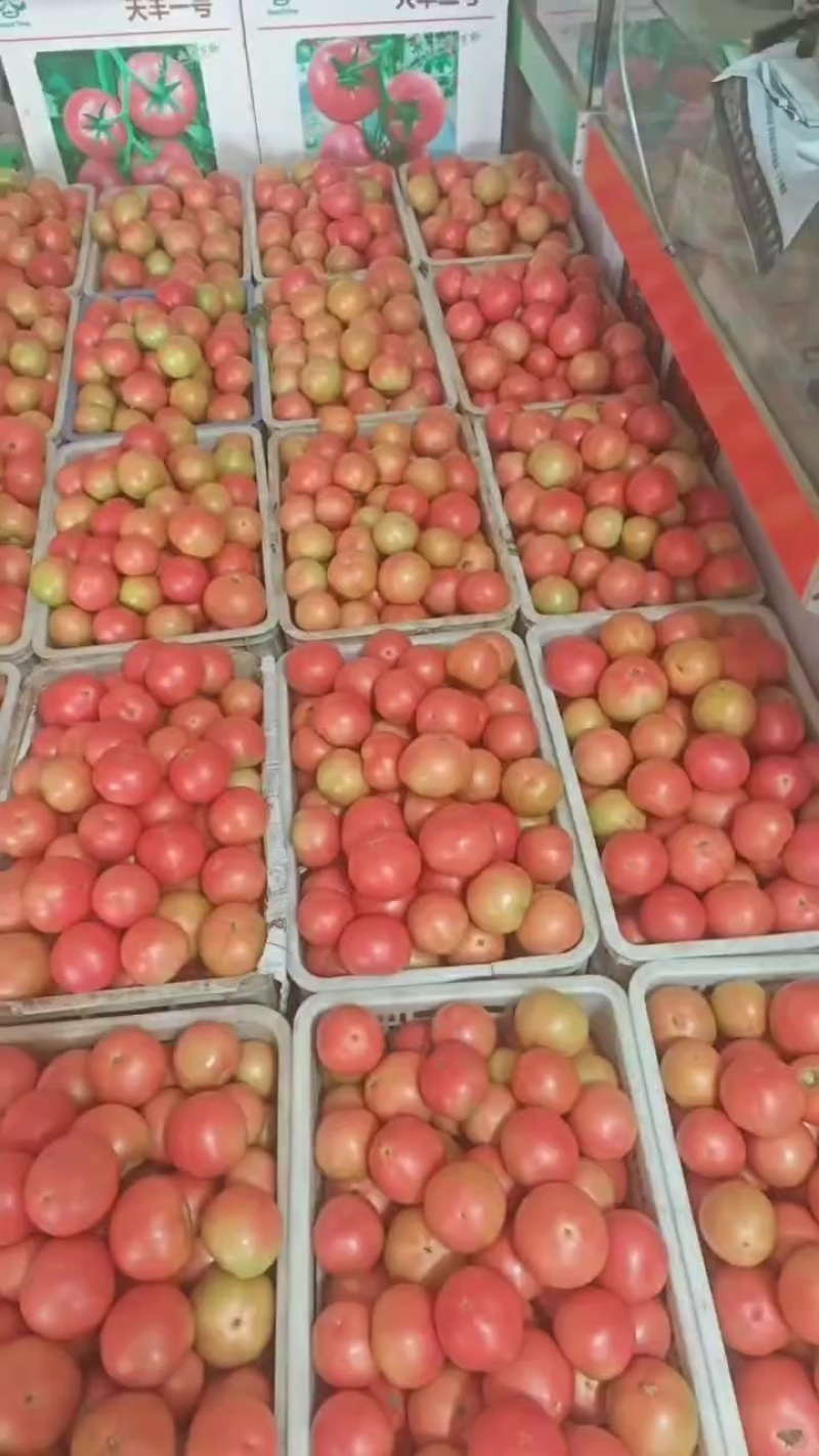 口感好大沙瓤