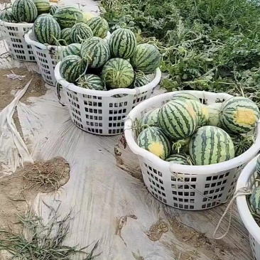 高次