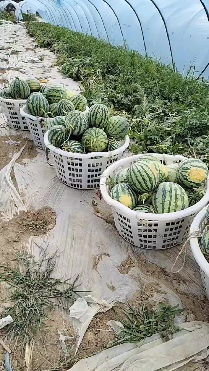 高次