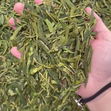 丽水市刀切龙井