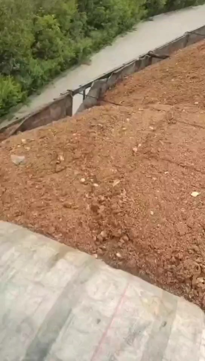 大量出售杏鲍菇废料