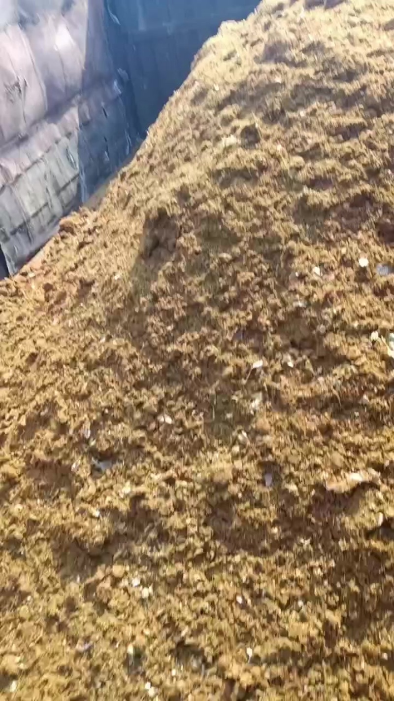 大量出售杏鲍菇废料