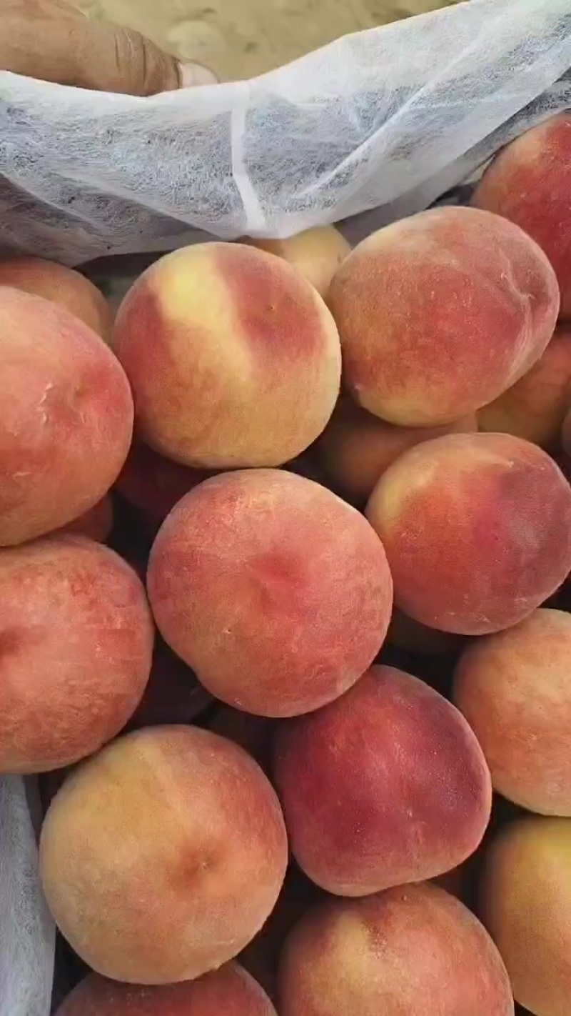 突围