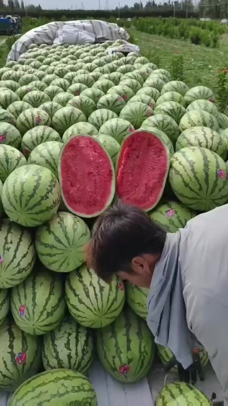 六安西瓜