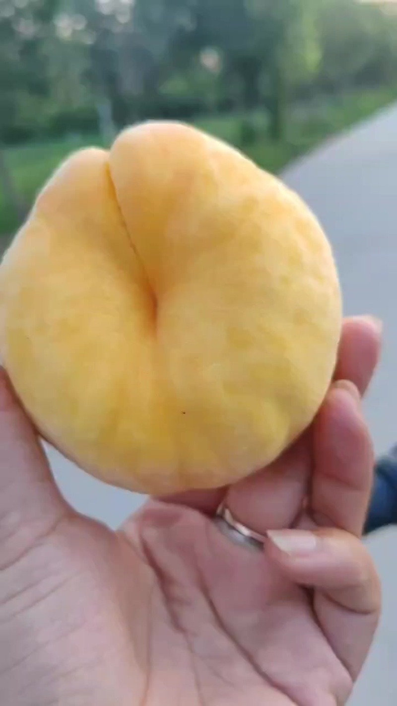 蟠桃上市，需要的请联系
