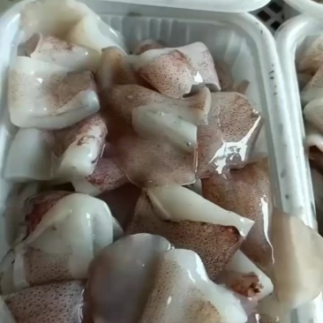 切块鱿鱼