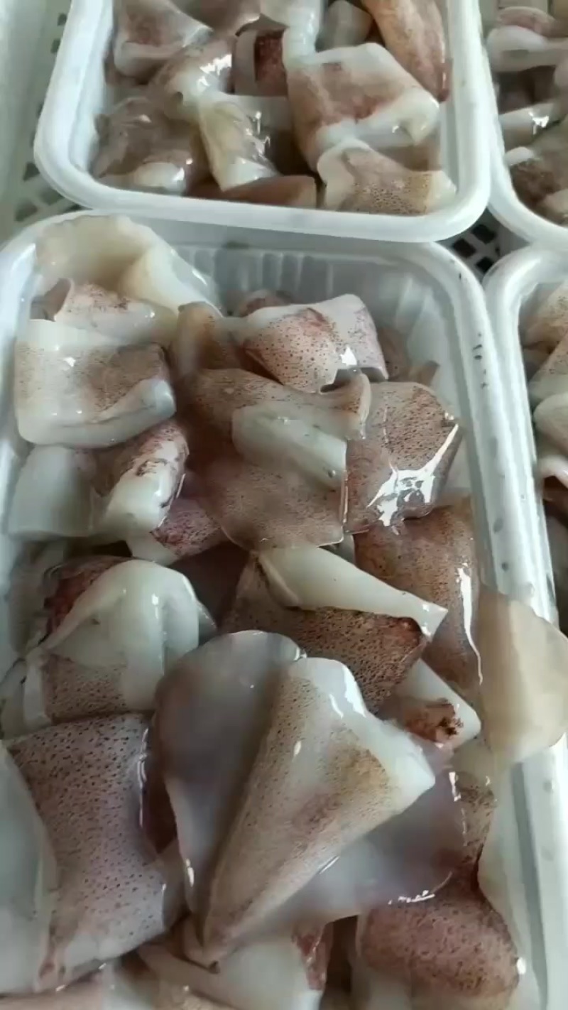 切块鱿鱼