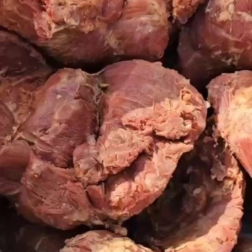 五香牛肉风味酱牛肉风味