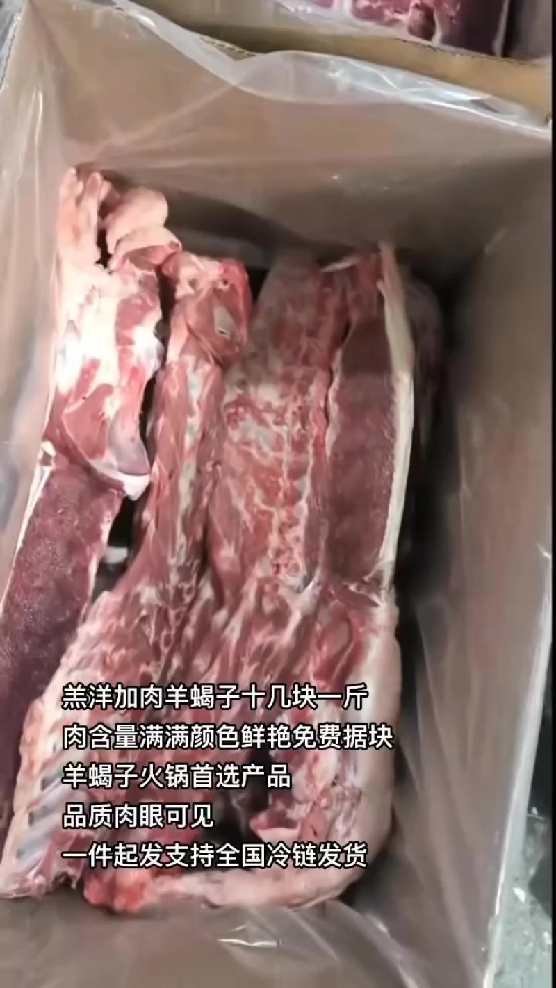 羔洋加肉羊蝎子十几块一斤