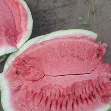 西瓜