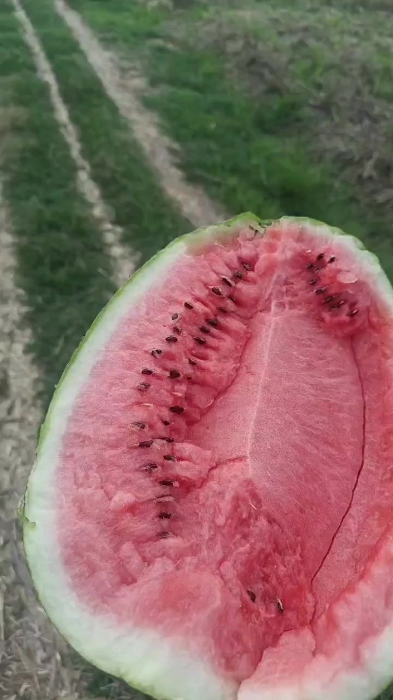 西瓜