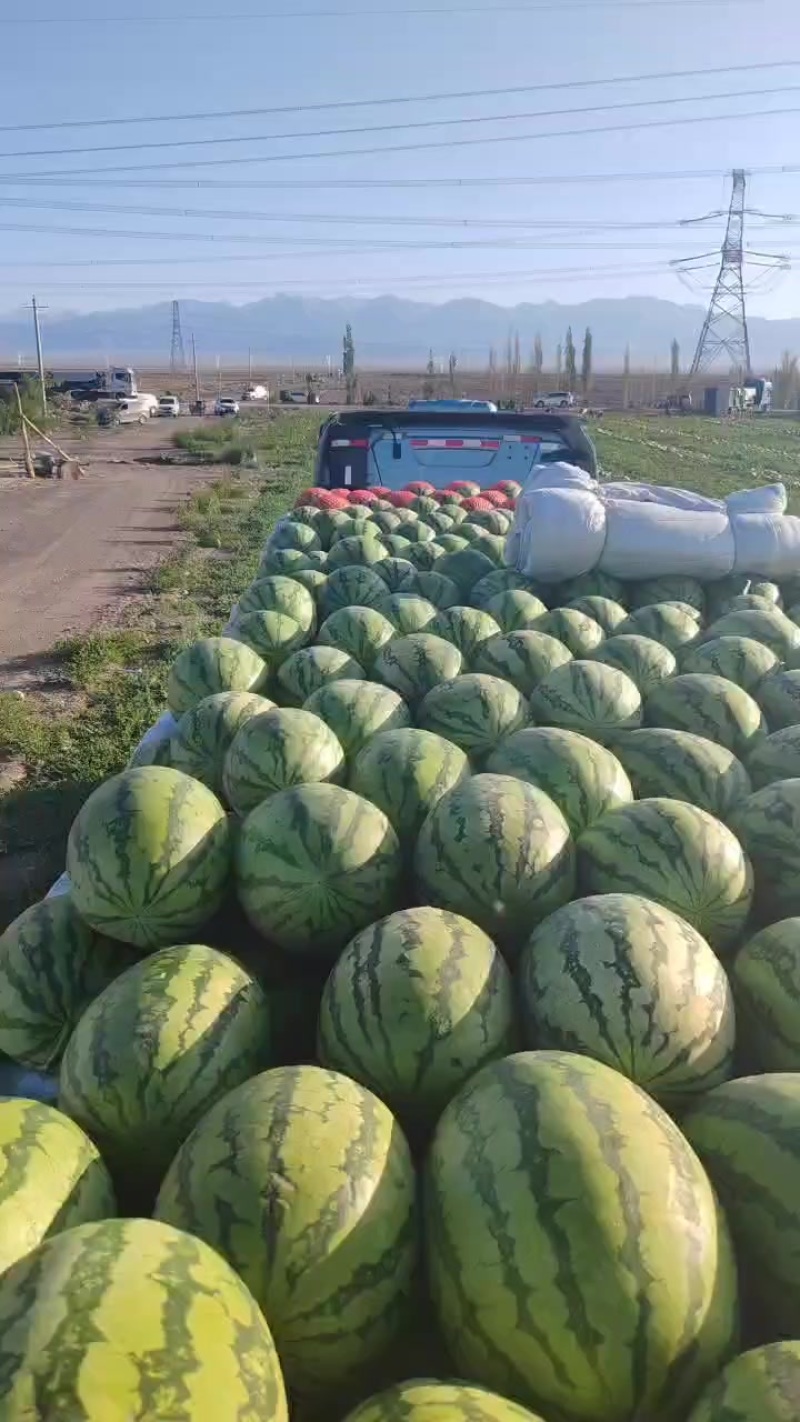 新疆西瓜，双红金城