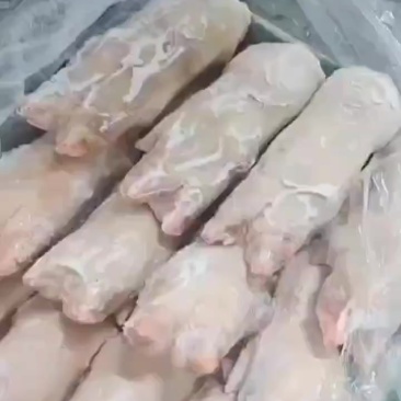 13-16轻微滑猪手，现货4吨
