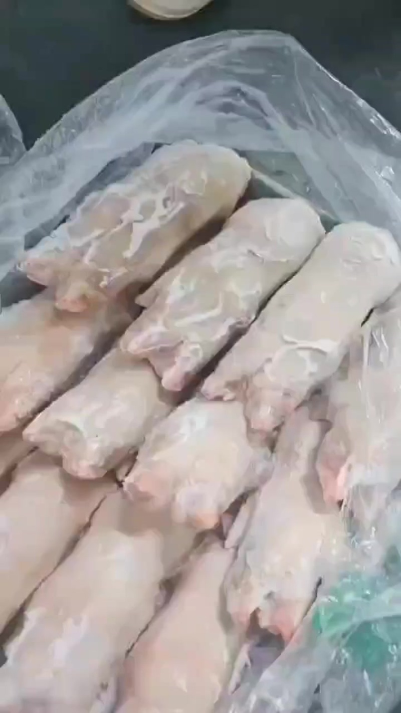 13-16轻微滑猪手，现货4吨