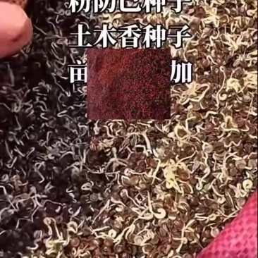 防己催芽
