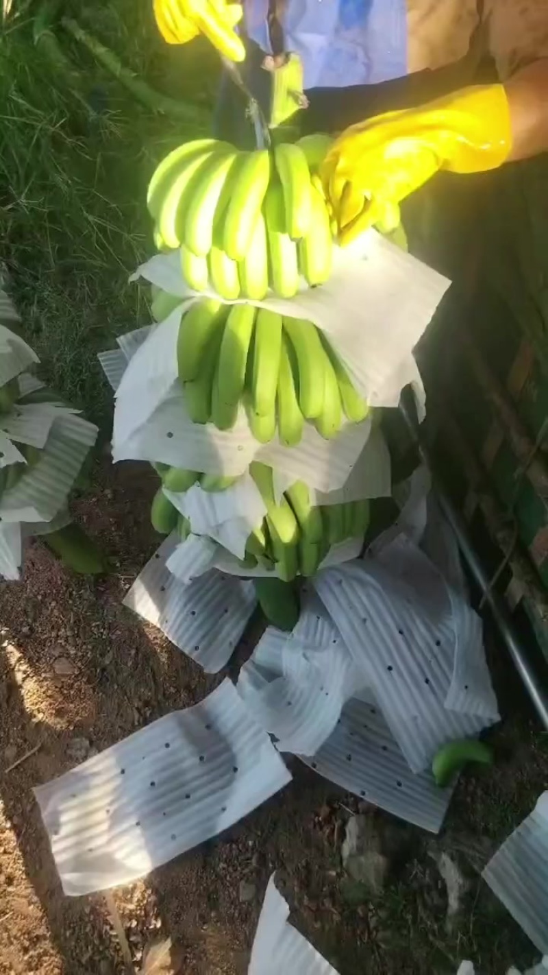 精品货中上好货中货电商货规格齐全出口，电商，商超，有需要的老