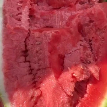 宁夏石头瓜，皮薄肉厚，干沙瓤，口感细腻，糖度13➕