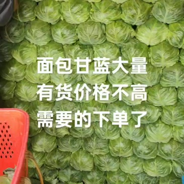 精品面包甘蓝