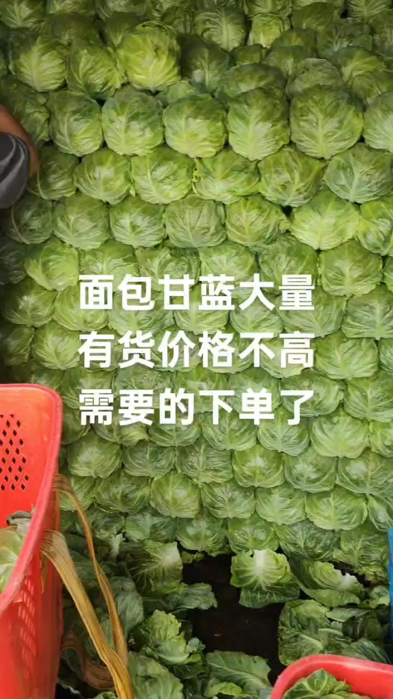 精品面包甘蓝