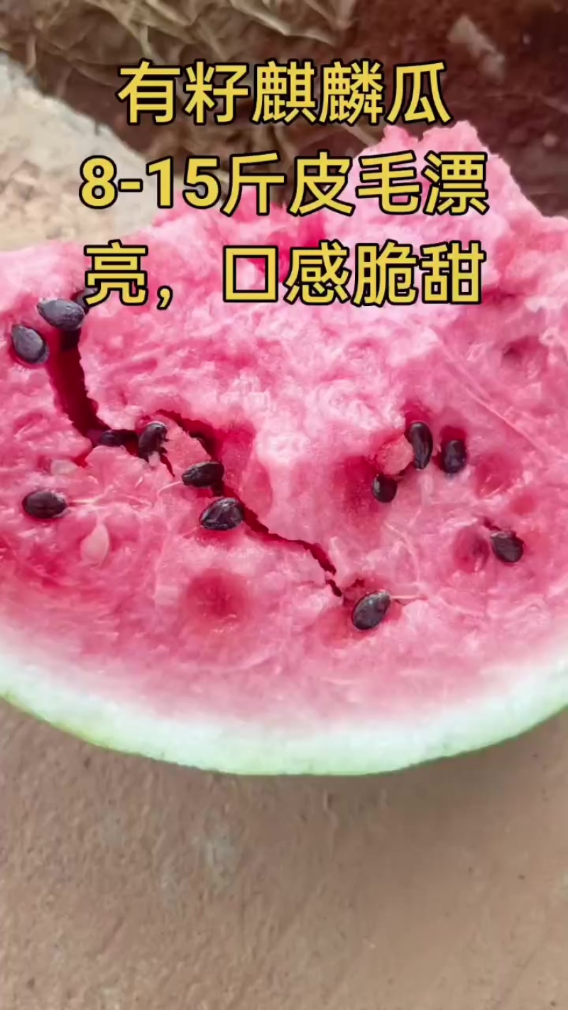 有籽麒麟瓜