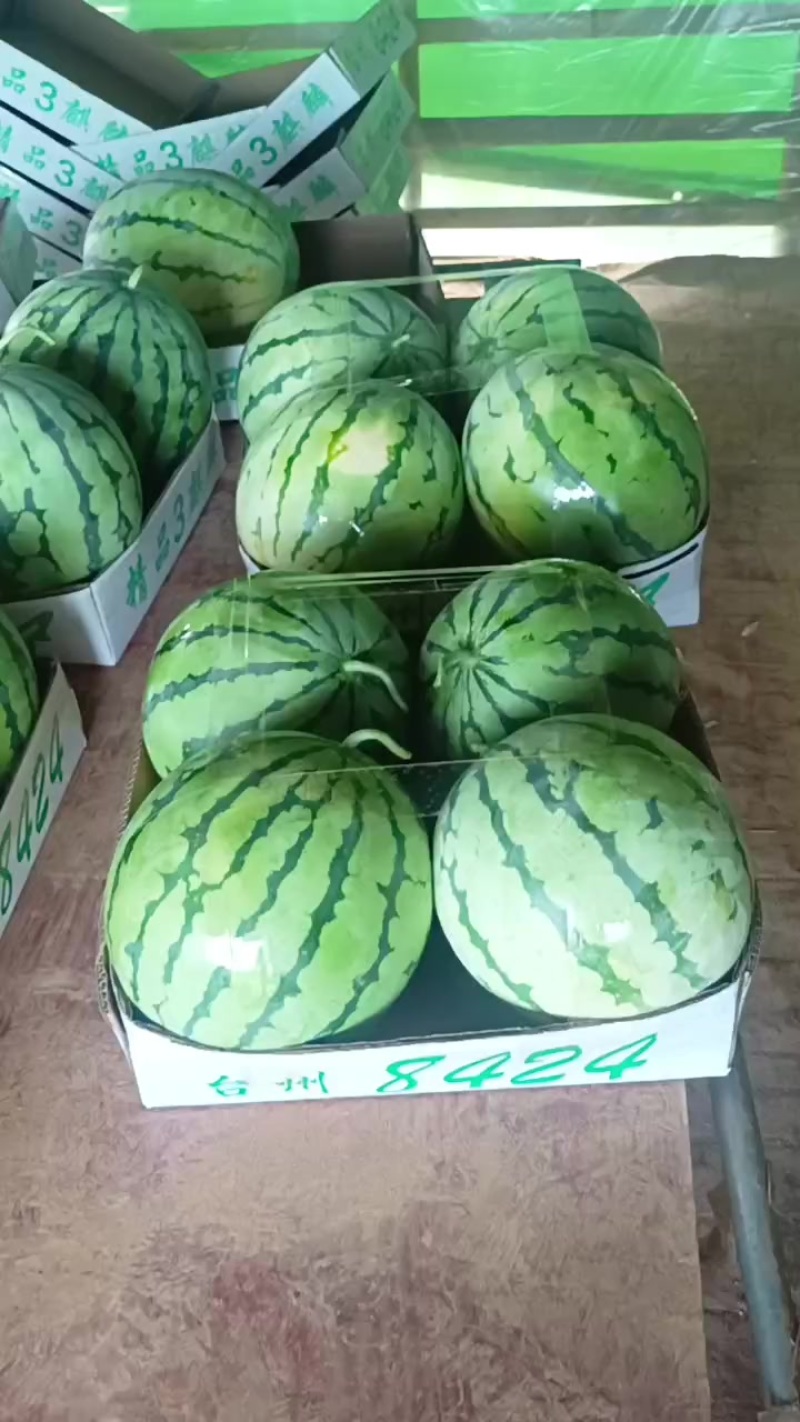 有籽麒麟瓜