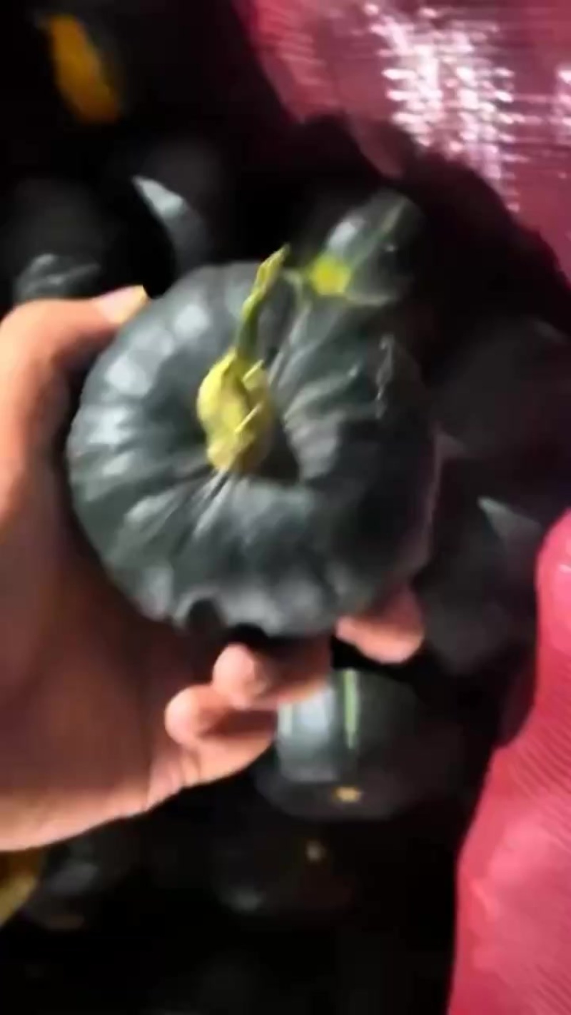 贝贝南瓜