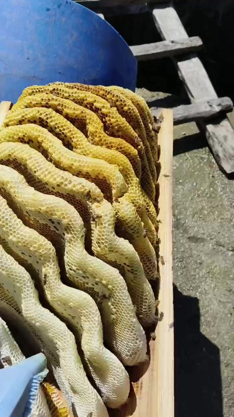 蜂蜜