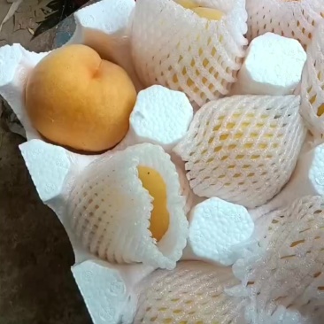 桃子