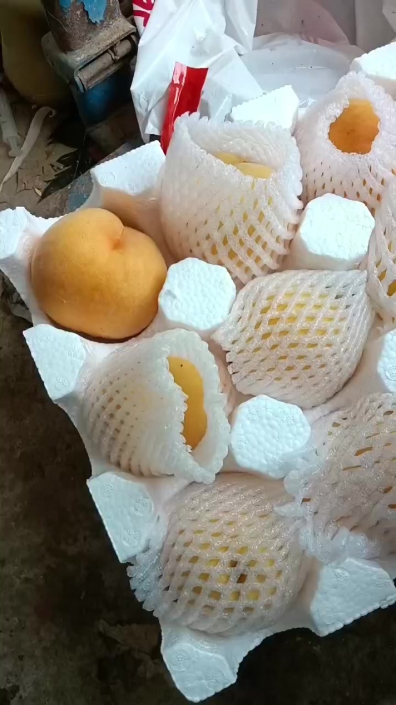 桃子