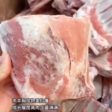 羔羊胸排物美价廉