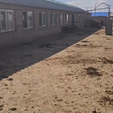 牛厂和牛全部出售