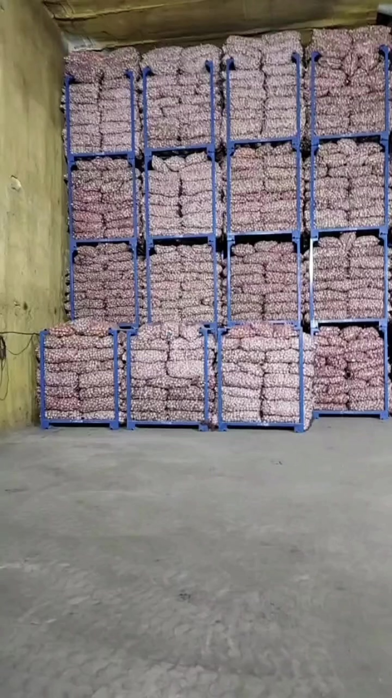 金乡大蒜