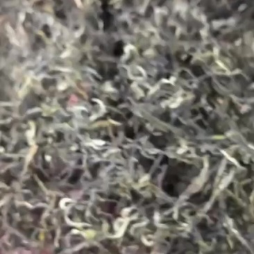 烘清绿茶