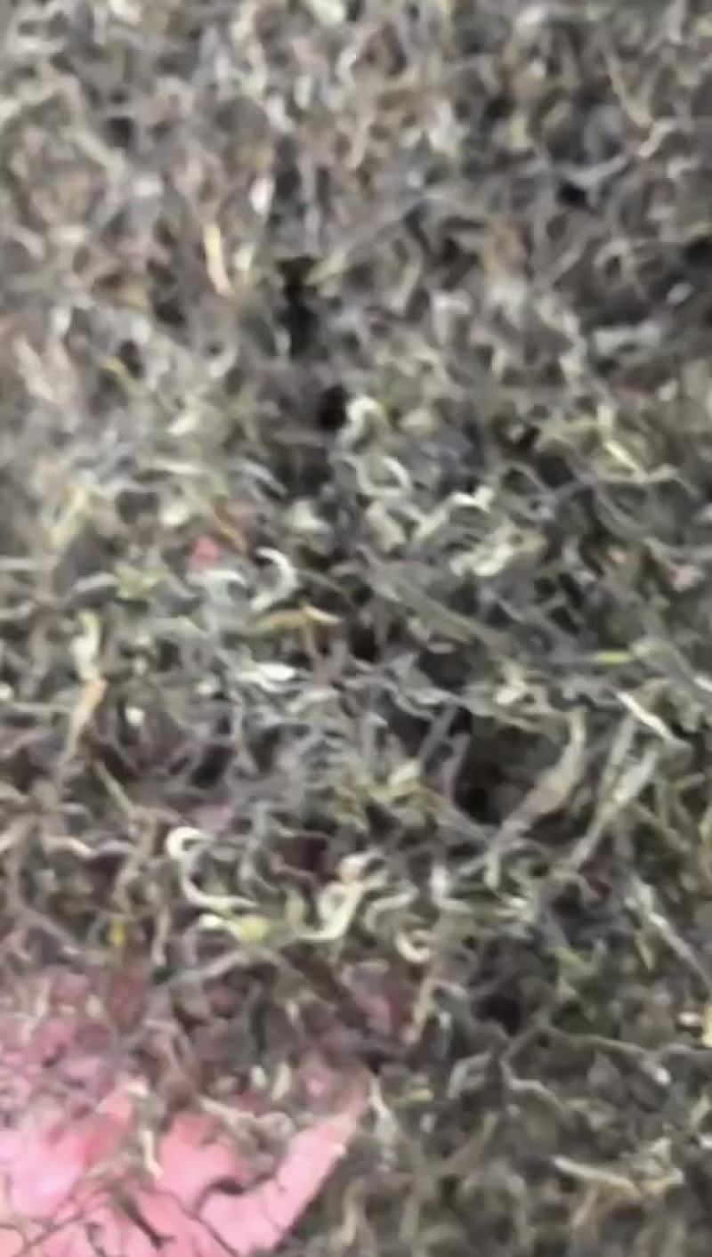 烘清绿茶