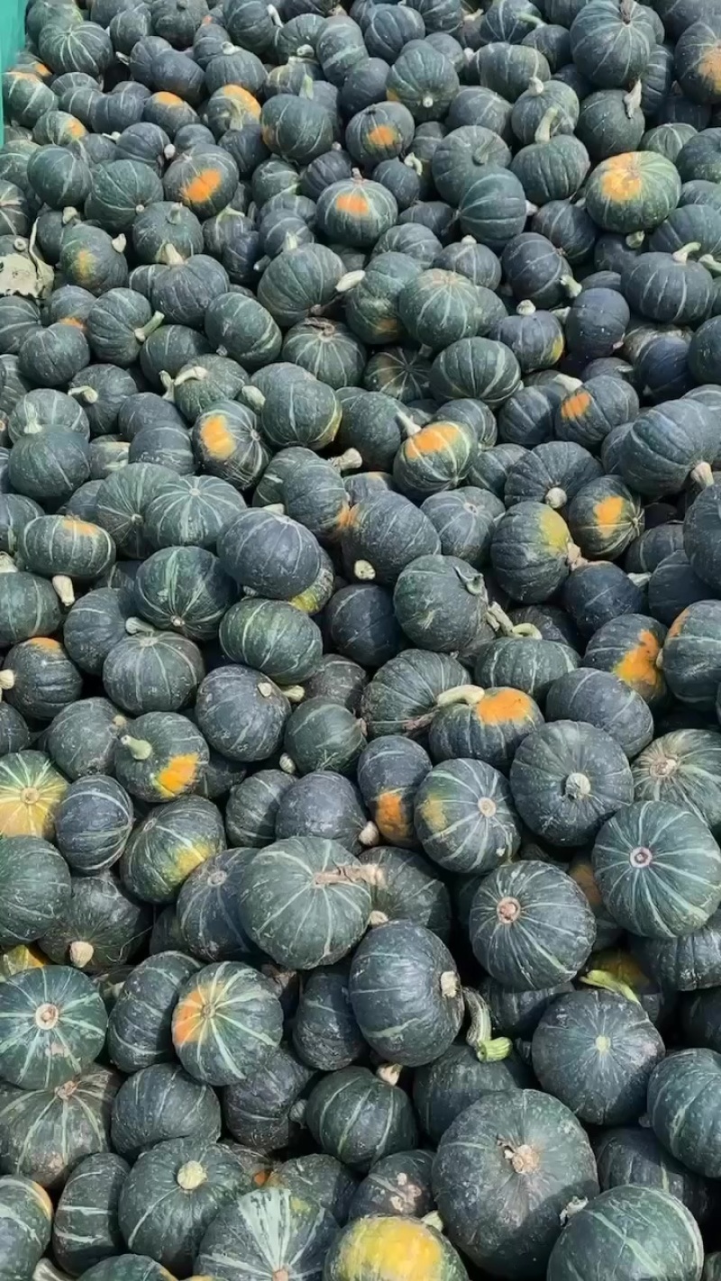 南瓜