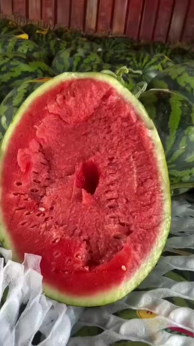大量供货黑美人，绿黑无