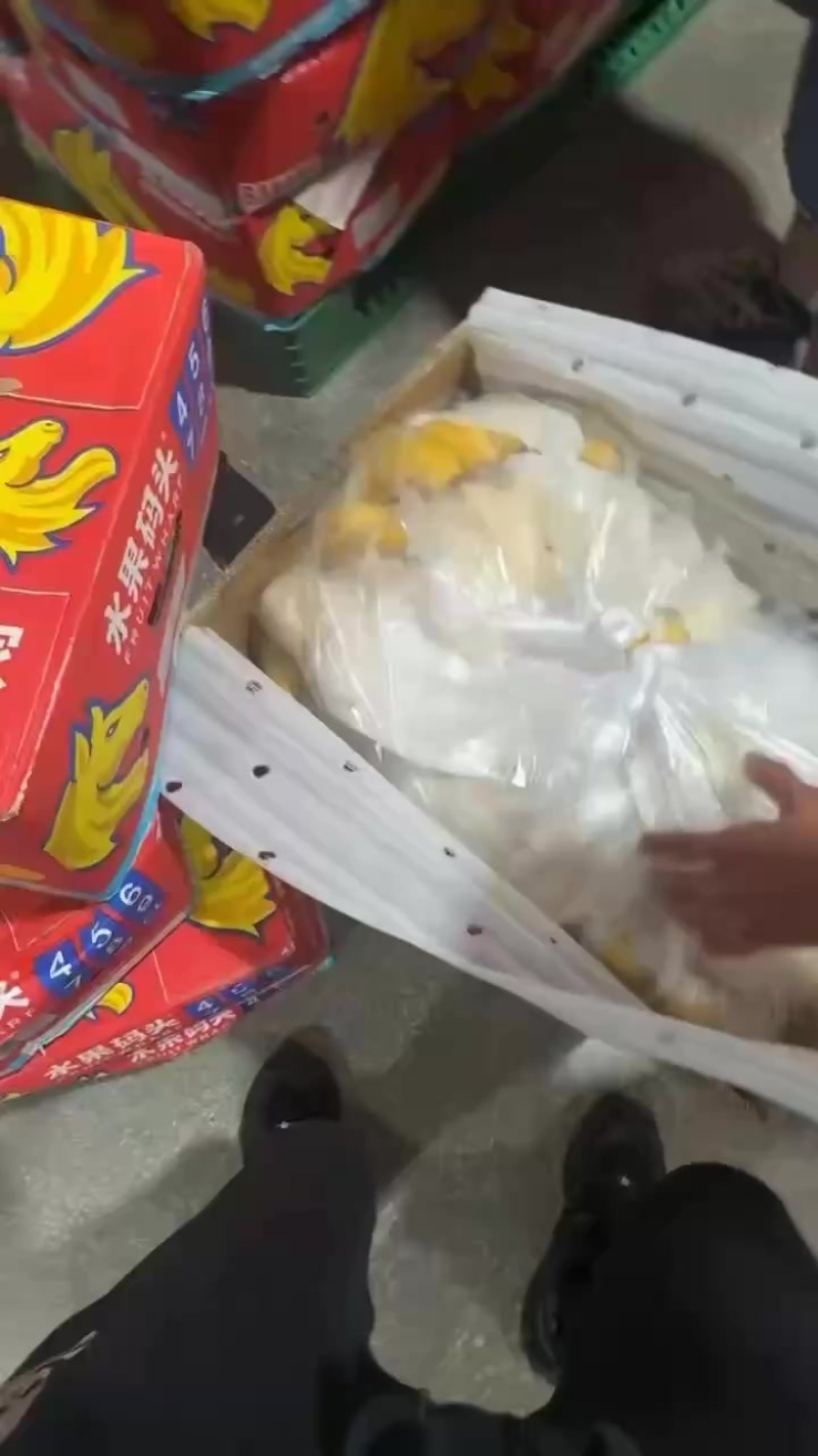 精品香蕉