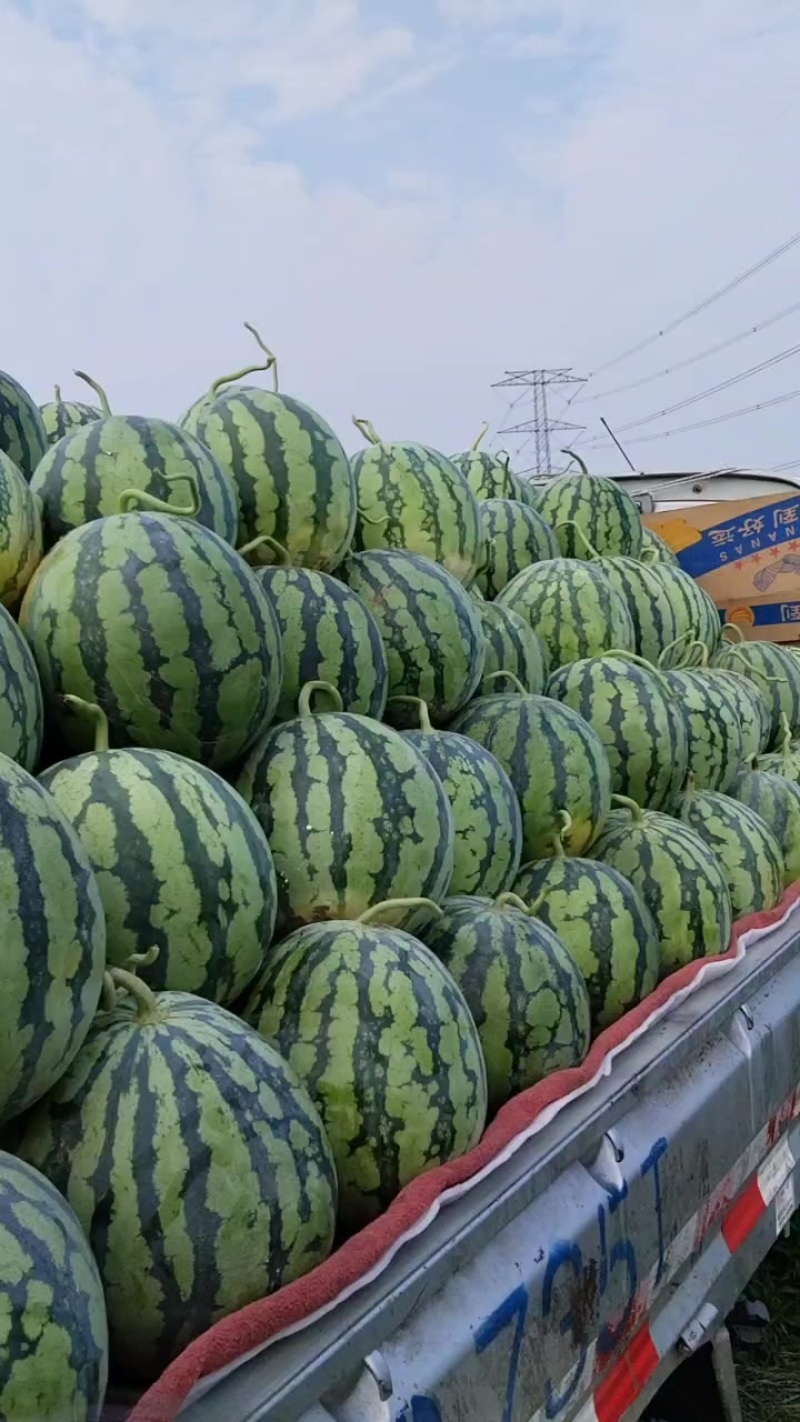 美都西瓜，货源充足产地直销，支持一下我