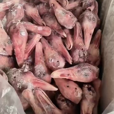 厂家带舌鸭头一吨多