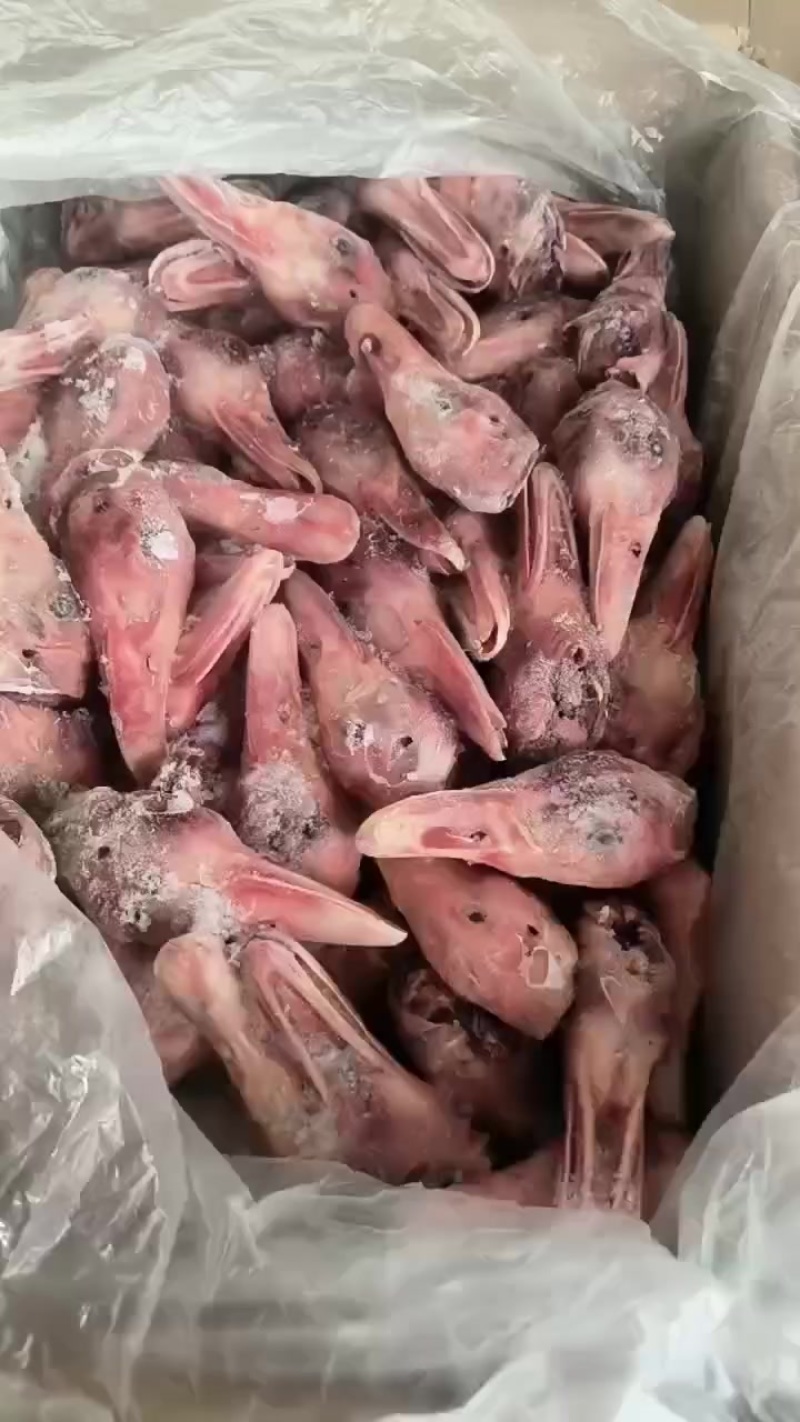 厂家带舌鸭头一吨多
