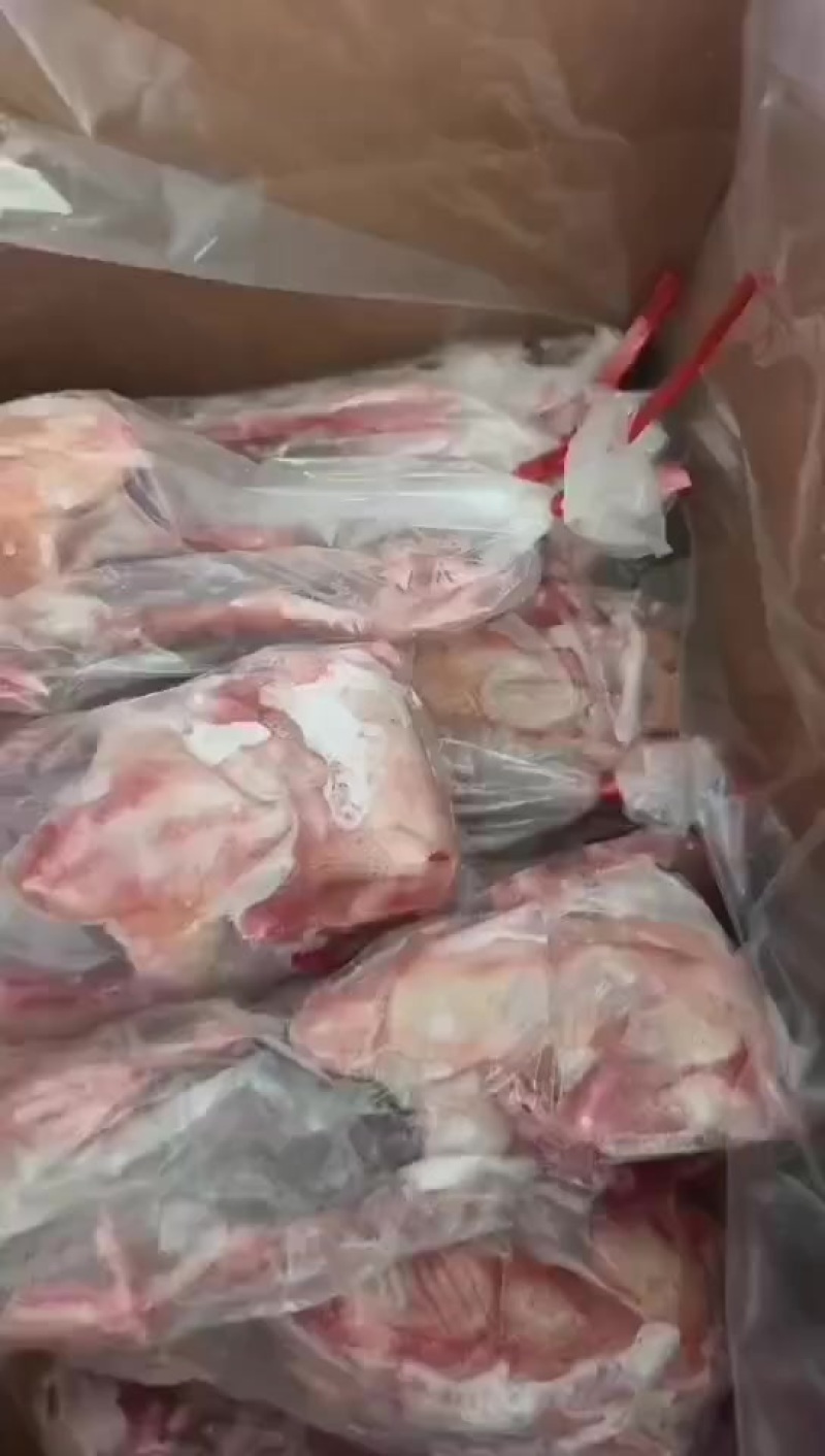 一级5-6两乳鸽大量有货