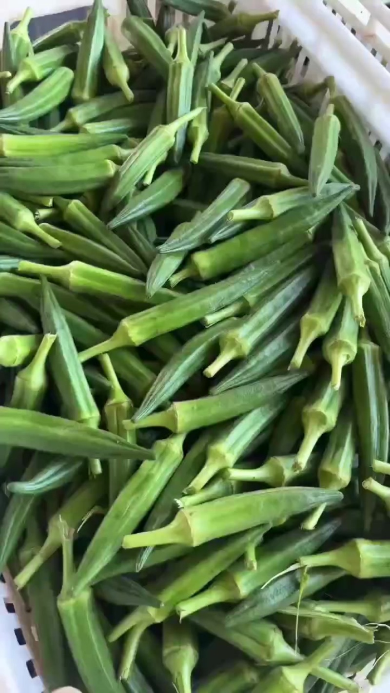 黄秋葵批发