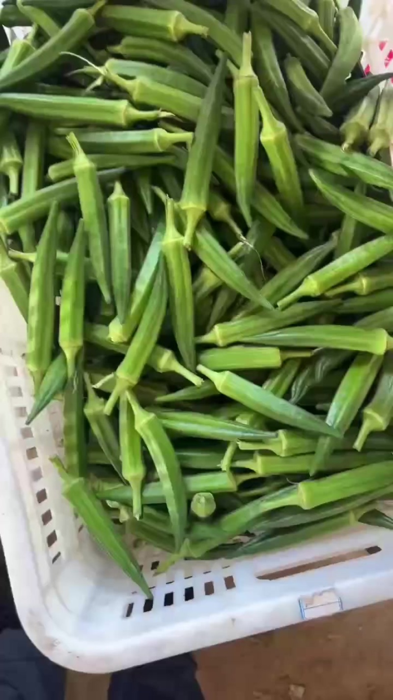 黄秋葵批发