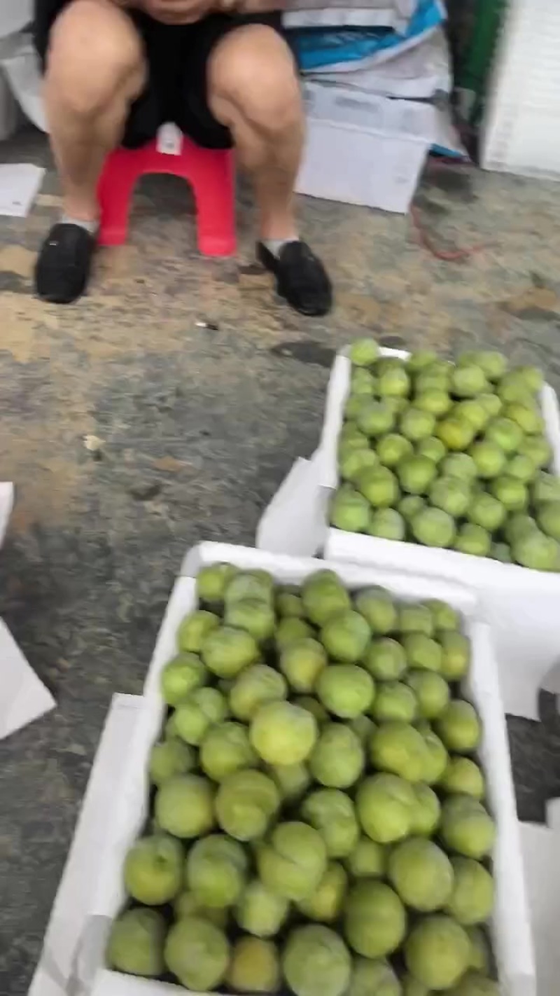 贵州六马蜂糖李